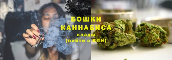 СК Аркадак