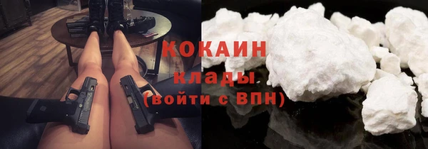 прущие грибы Армянск