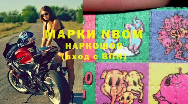 прущие грибы Армянск