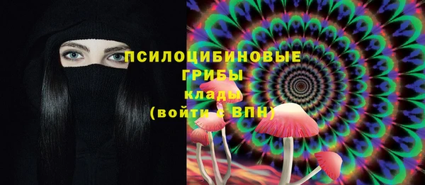 прущие грибы Армянск