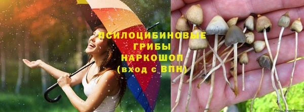 героин Няндома