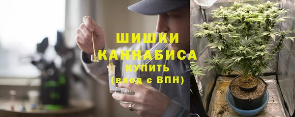 прущие грибы Армянск